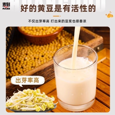 黑龙江东北非转基因新黄豆5斤小农家自种大豆打豆浆专用图2