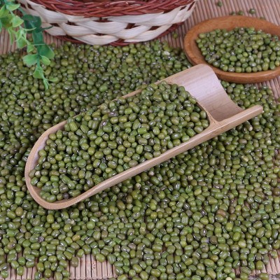 批发绿豆明绿豆沙绿豆汤农家小粒绿豆毛绿豆毛杂绿豆国产澳洲50斤图5