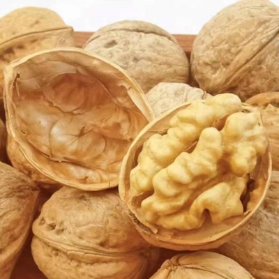 新疆185纸皮生核桃批发500g 代发阿克苏特产手剥薄皮大果生核桃图5