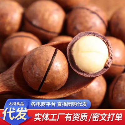 奶油夏威夷果薄皮代发250g 手剥开口胡桃坚果年货零食夏威夷果图1