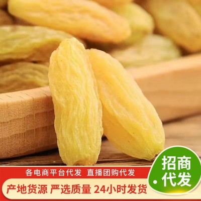葡萄干大颗粒提子干批发500g 树上黄绿干葡萄蜜饯果干零食葡萄干图1