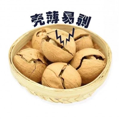 新疆熟核桃生核桃薄皮大果代发批发500g 阿克苏纸皮生核桃烤核桃图3