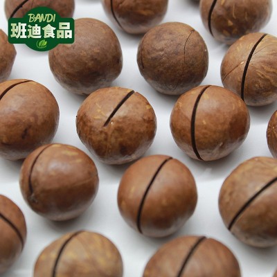 夏威夷果批发 奶香休闲零食坚果炒货特产 坚果酱/乳 原料 冷饮图2