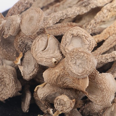 鹿茸菇茸菇干货福建特产食用菌农产品现货批发整袋图4