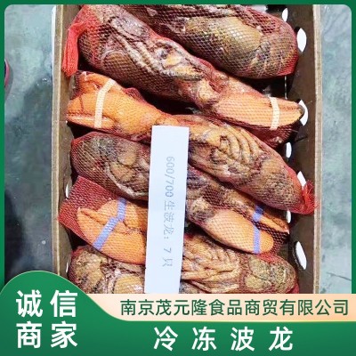 熟波龙 冷冻 波龙虾 波士顿龙虾 熟冻龙虾小龙虾 自助餐宴席图3