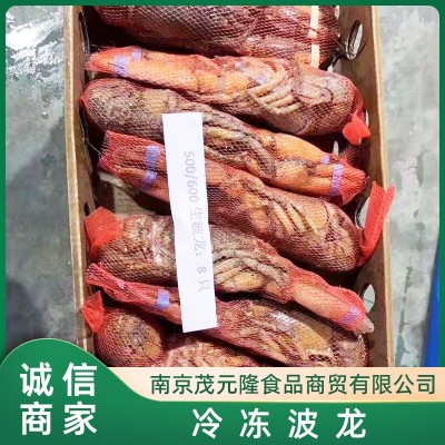 熟波龙 冷冻 波龙虾 波士顿龙虾 熟冻龙虾小龙虾 自助餐宴席图4