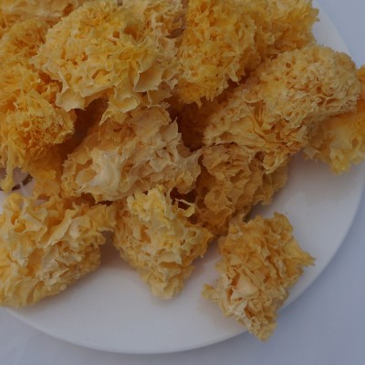 冠发 古田特产农家银耳白木耳糯无根丑耳花块干货500g