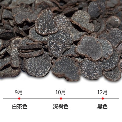批发云南特产块菌猪拱菌食用菌菇干货成熟贡山黑松露FD冻干松露片图2