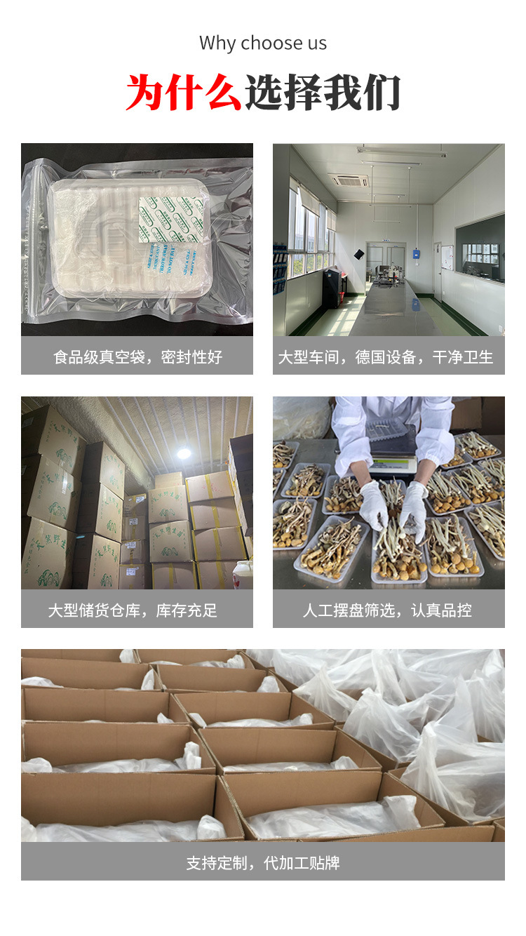 FD菌汤包详情页zz_09.jpg