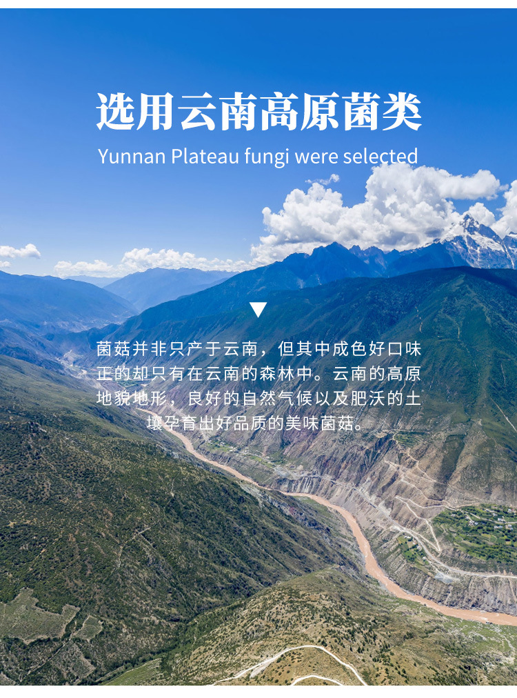 FD菌汤包详情页zz_05.jpg