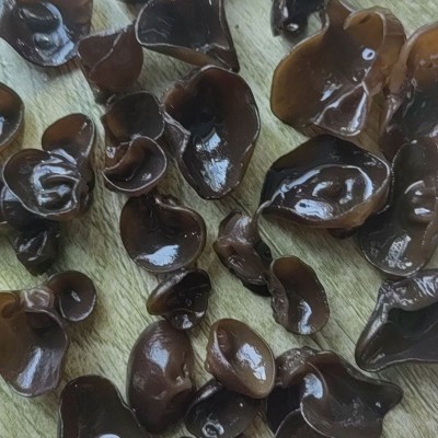 东北黑木耳干货批发 小碗耳干木耳 散货批发 木耳 250克 1.5cm图4