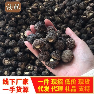 金钱菇干货1.5-2cm 珍珠菇香菇 小香菇冬菇散装厂家批发礼品图1
