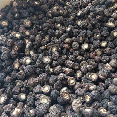 金钱菇干货1.5-2cm 珍珠菇香菇 小香菇冬菇散装厂家批发礼品图3