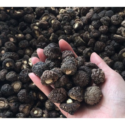 金钱菇干货1.5-2cm 珍珠菇香菇 小香菇冬菇散装厂家批发礼品图5