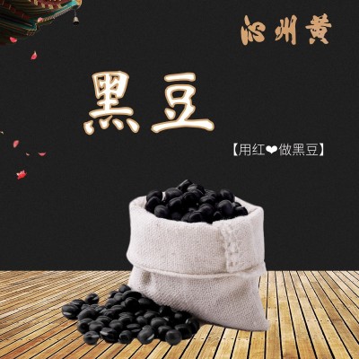 【北方水城】沁州黑黑豆 农家种植 一件代发 煮粥软糯 醋泡原料图2