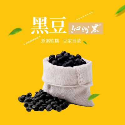 【北方水城】沁州黑黑豆 农家种植 一件代发 煮粥软糯 醋泡原料