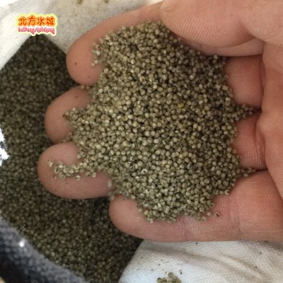 北方水城沁州黑黑小米500g *3包 一件代发 黑杂粮 黑粥 黑五宝图4