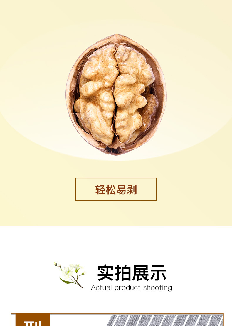 纸皮核桃_06.jpg