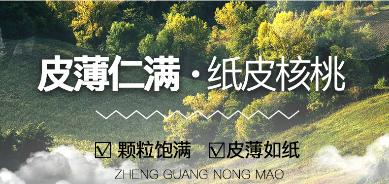 纸皮核桃_01.jpg