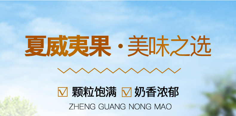 夏威夷果详情_01.jpg