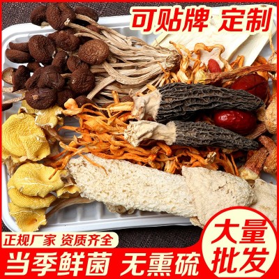 云南七彩菌汤包 菌类汤包 美味菌汤包 汤锅底料100克/袋批发
