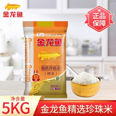 金龙鱼精选珍珠米5KG美滋滋长粒香米家用南方大米10斤装东北团购图1
