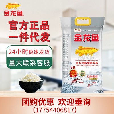 金龙鱼精选珍珠米5KG美滋滋长粒香米家用南方大米10斤装东北团购图2