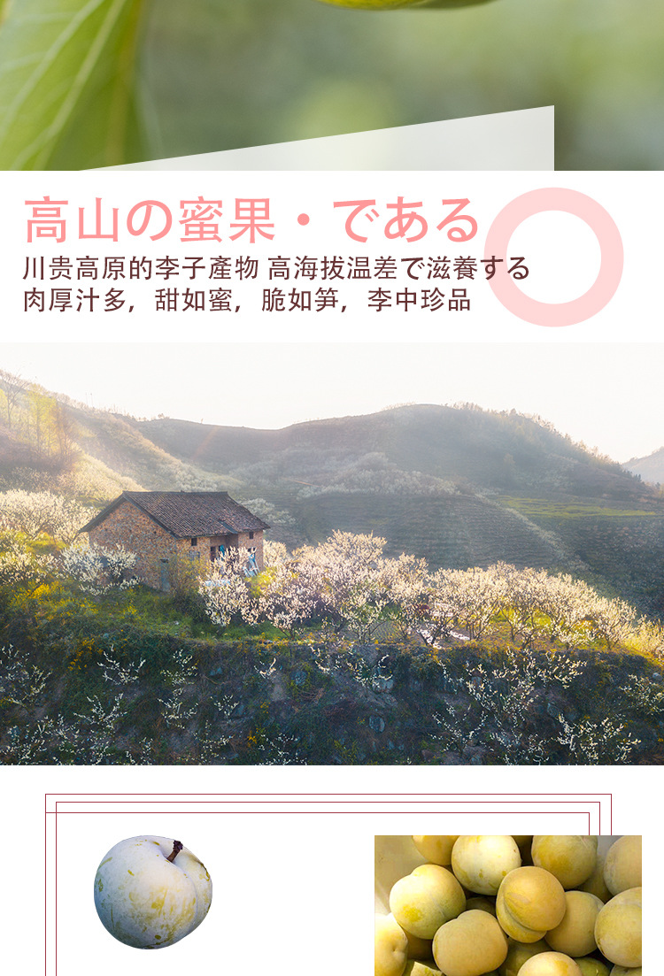 海南长_03