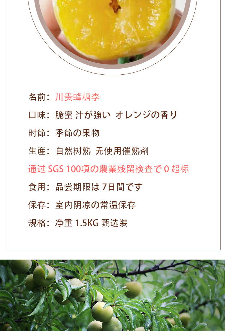 海南长_07