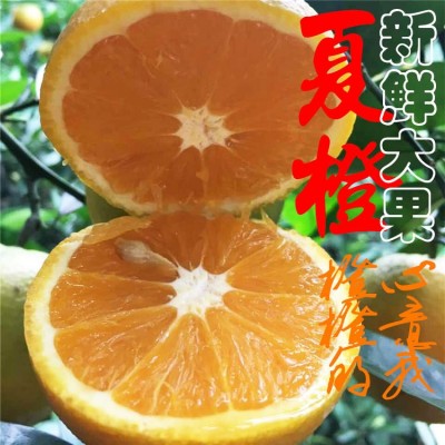 秭归新鲜夏橙榨汁橙子新鲜水果脐橙非纽荷尔口感酸甜大果8斤图1