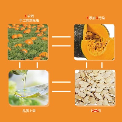 五谷城南瓜籽油 冷榨脱蜡 食用油 送礼批发图3