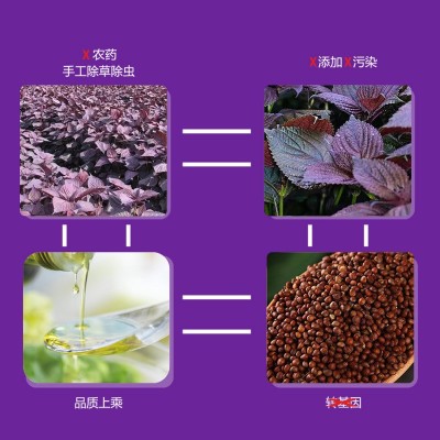 维拓食品紫苏籽油 冷榨脱蜡 食用油 送礼批发 源头厂家图2