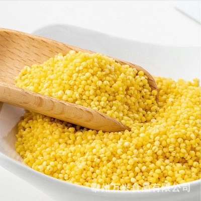 现货批发 小黄米粉 小米粉 膨化黄米粉 营养代餐粉 五谷杂粮粉图4