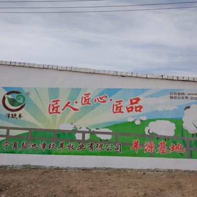 宁夏津玖羊盐池滩羊原油腰子油包羊腰子1袋20个5斤烧烤食材羊肉图3
