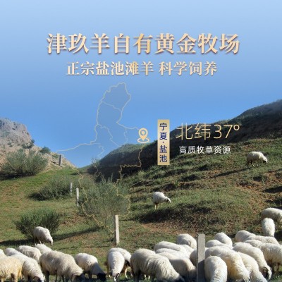 宁夏盐池红柳枝羊肉串大肉串烤串空气炸锅户外烧烤食材半成 品家用图3
