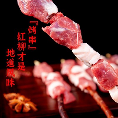 宁夏盐池红柳枝羊肉串大肉串烤串空气炸锅户外烧烤食材半成 品家用图2