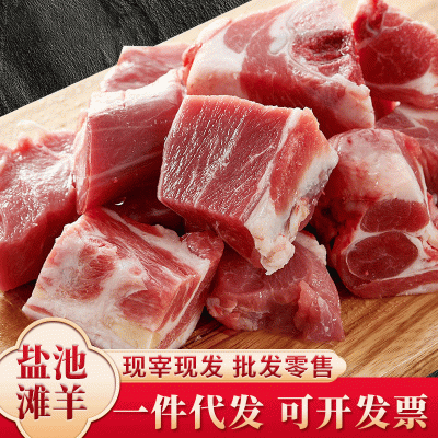 宁夏盐池滩羊羊肉块生鲜羊肉羊排羊腿 羊蝎子清炖红烧焖 羊汤图3