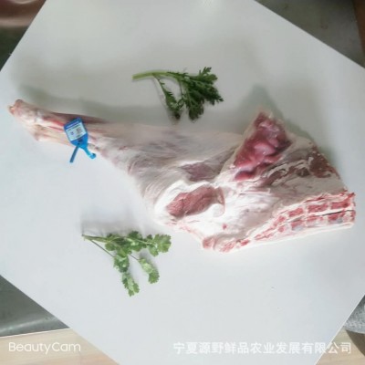 宁夏盐池滩羊羊后腿 烧烤羊腿新鲜现杀大块羊肉 羊肉串涮羊肉羊汤图5