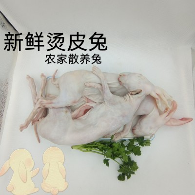 兔肉 带皮兔肉 烫皮兔 厂家直销图4