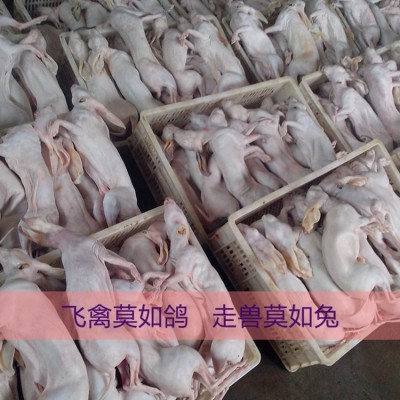 兔肉 带皮兔肉 烫皮兔 厂家直销图2