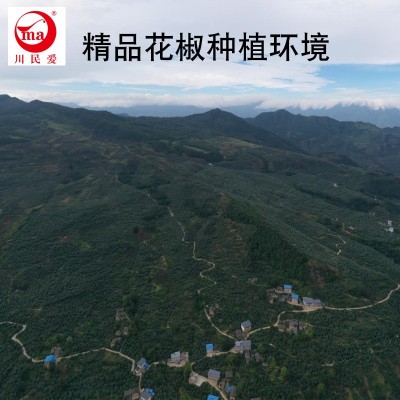 川民爱大红袍花椒 麻又香散装可磨面 干红花椒粒250g批发图4