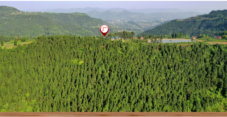 川味香肠-阿里-川民爱_04.jpg