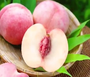 水蜜桃是什么季节的水果？桃子硬的好还是软的好？