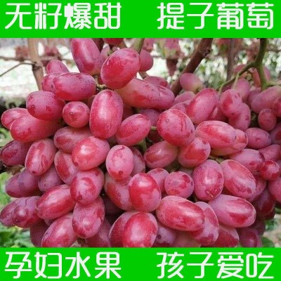 新鲜无籽提子葡萄孕妇水果应季现摘超甜克伦生红提一箱一件代发图3