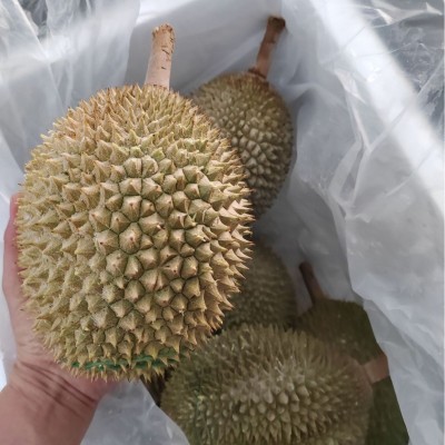 马来西亚进口D201江海D208D1榴莲整箱液氮冷冻带壳榴莲批发代发图4