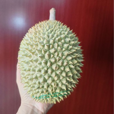 马来西亚进口D201江海D208D1榴莲整箱液氮冷冻带壳榴莲批发代发图3