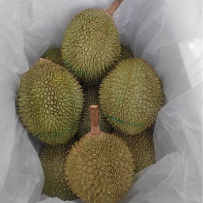 马来西亚进口D201江海D208D1榴莲整箱液氮冷冻带壳榴莲批发代发图2