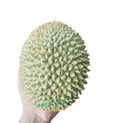 黑刺榴莲8头马来西亚D200带壳榴莲液氮冷冻水果8头果