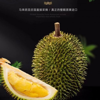 马来西亚D101红肉榴莲液氮冷冻整箱批发代发4头5头