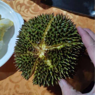 马来西亚D101红肉榴莲液氮冷冻整箱批发代发4头5头图4